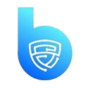 Brisktech Logo 1111 copy